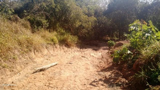 Terreno, 10000 m² - Foto 2