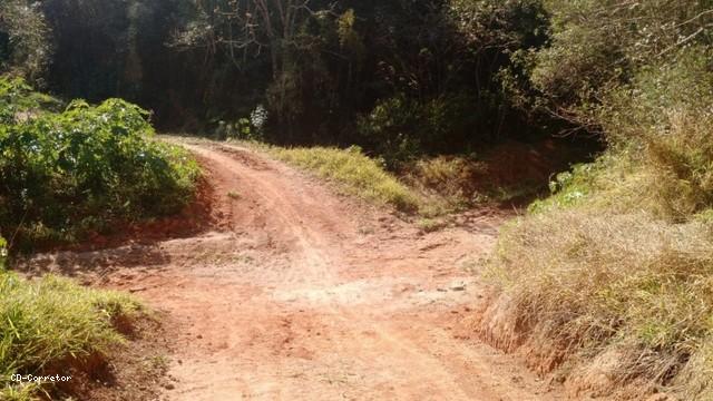 Terreno, 10000 m² - Foto 10