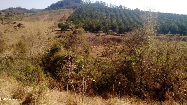 Terreno, 10000 m² - Foto 9