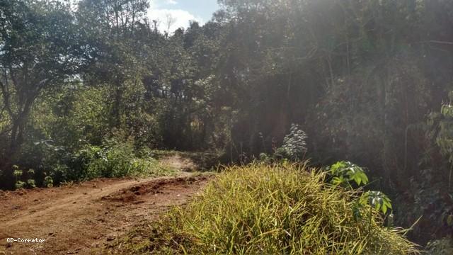 Terreno, 10000 m² - Foto 15