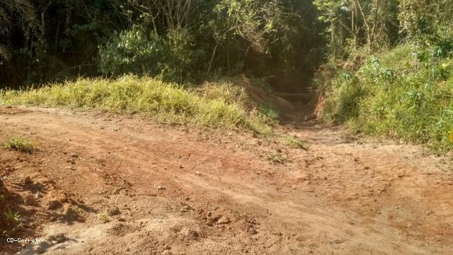 Terreno, 10000 m² - Foto 14