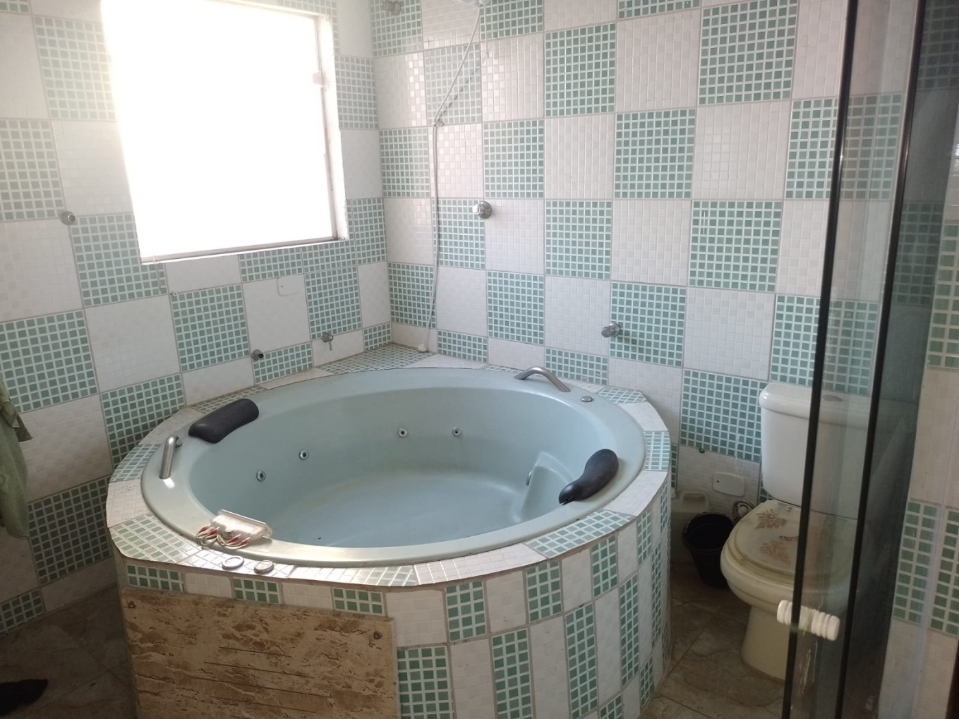Casa, 4 quartos, 450 m² - Foto 14