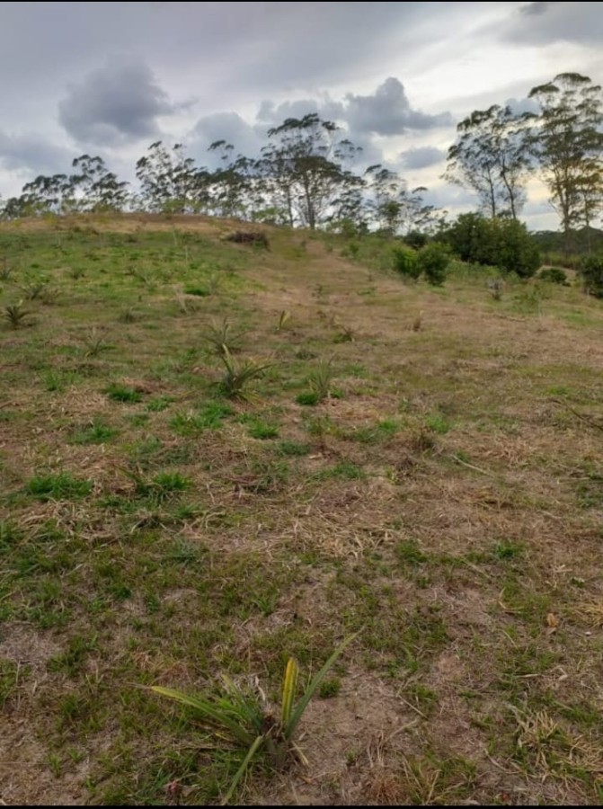 Terreno, 3 hectares - Foto 2