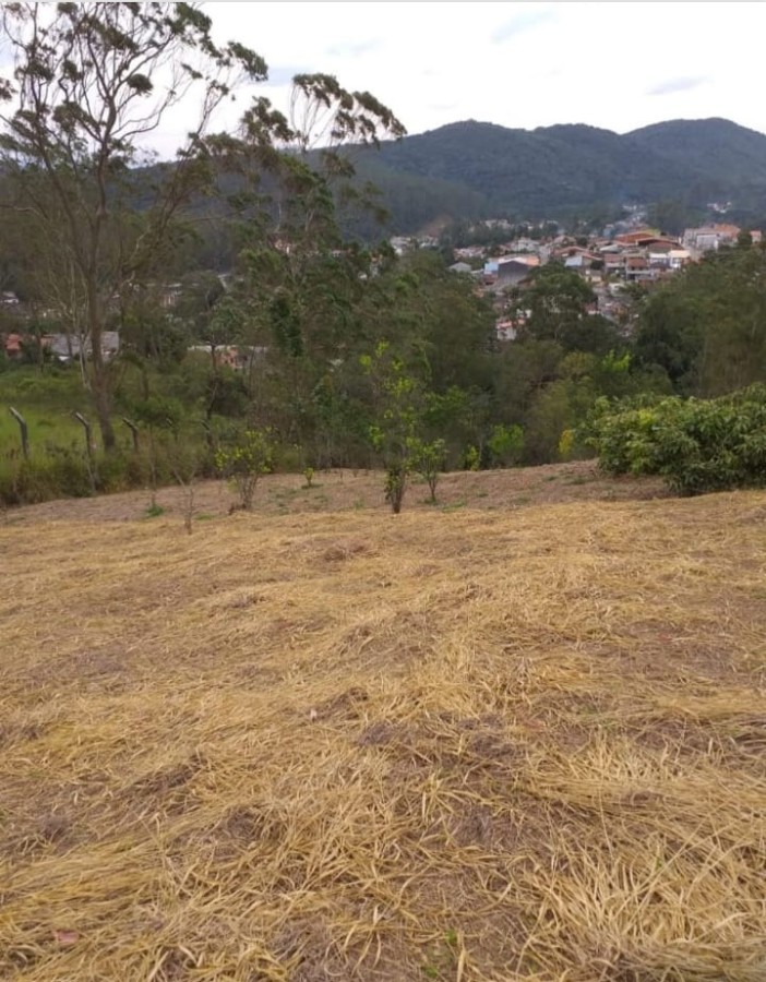 Terreno, 3 hectares - Foto 8