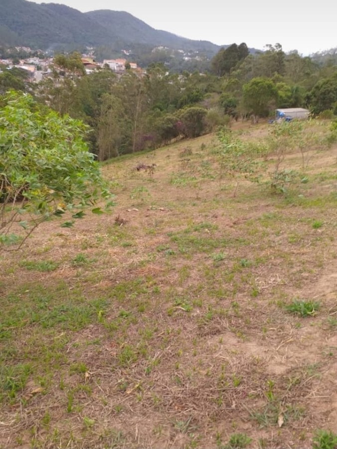 Terreno, 3 hectares - Foto 9