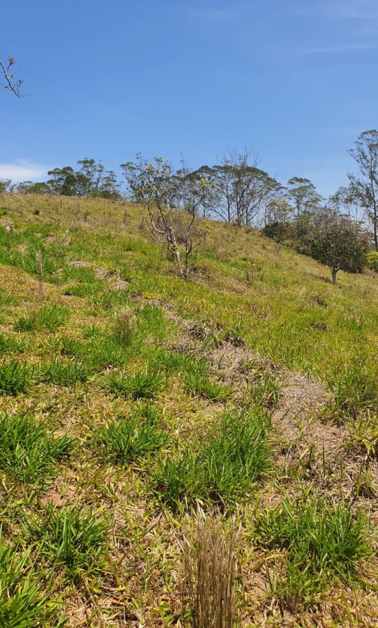 Terreno, 3 hectares - Foto 10