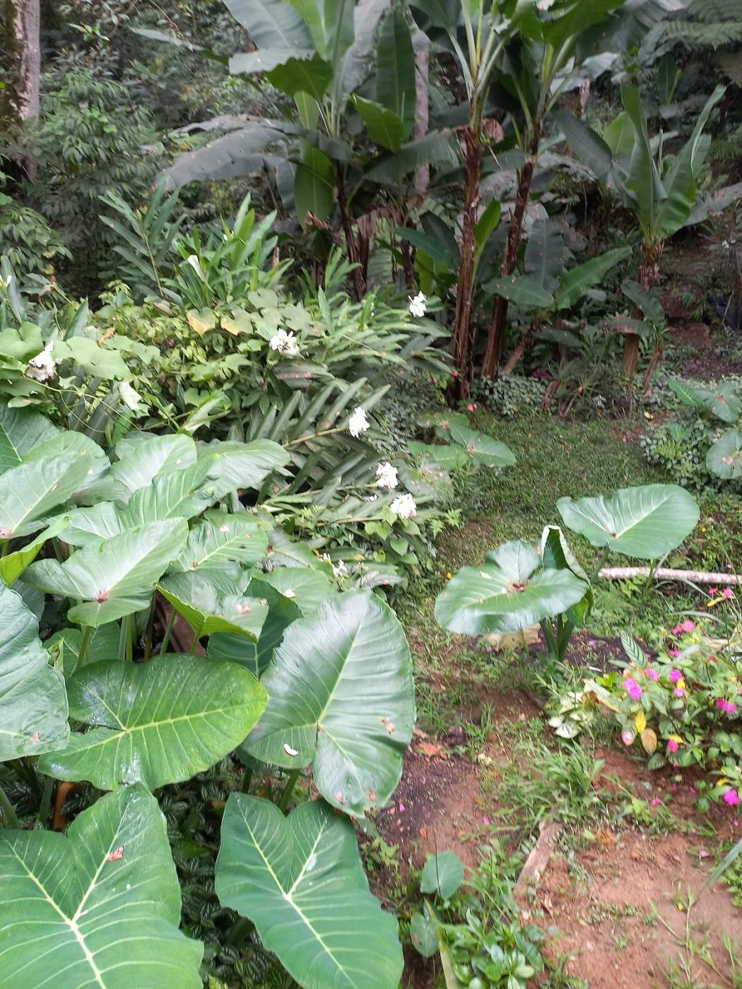 Fazenda, 450 m² - Foto 14
