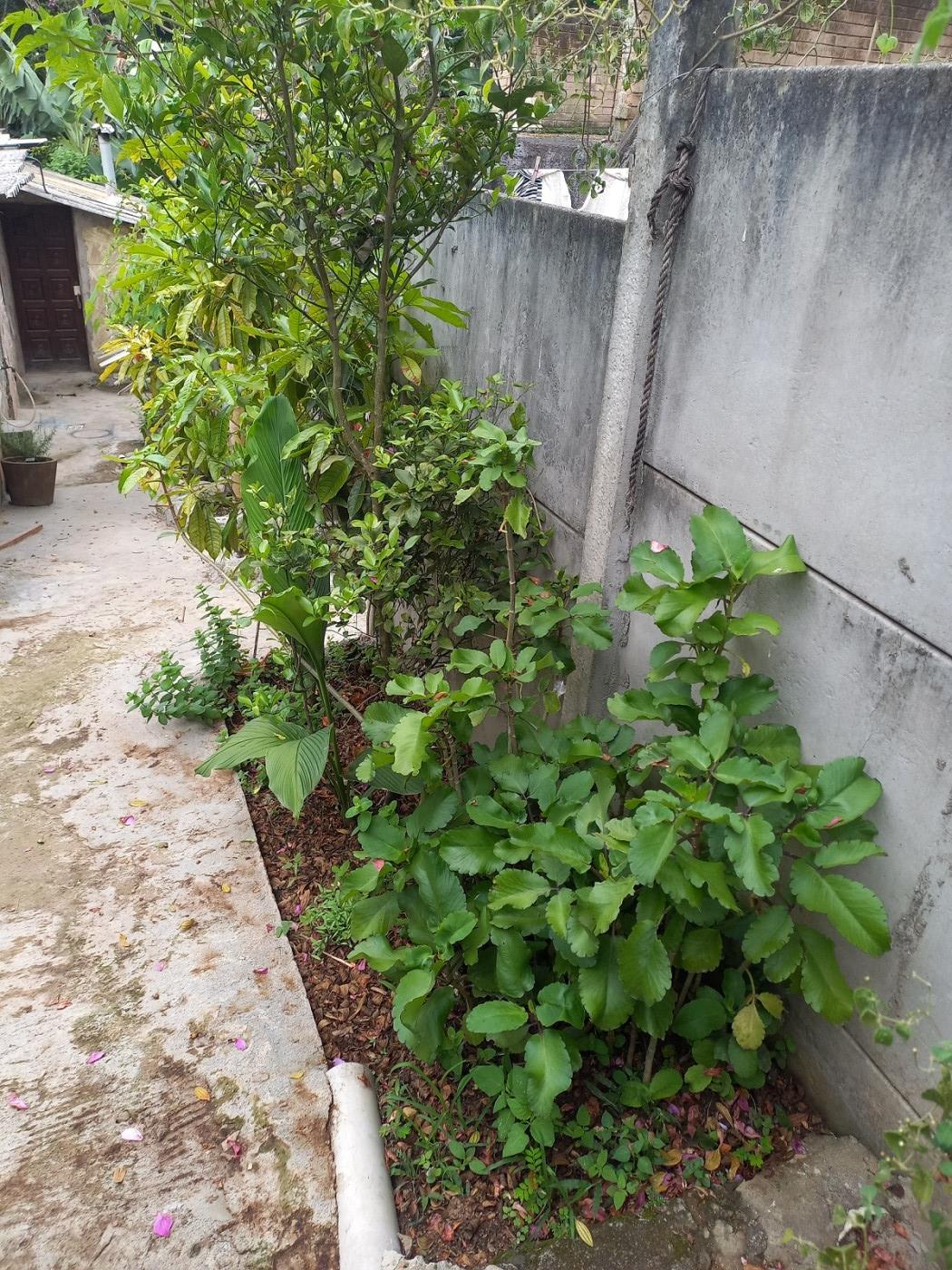 Fazenda, 450 m² - Foto 21